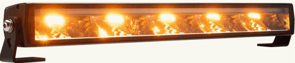 phpThumb_generated_thumbnailjpgs.jpg