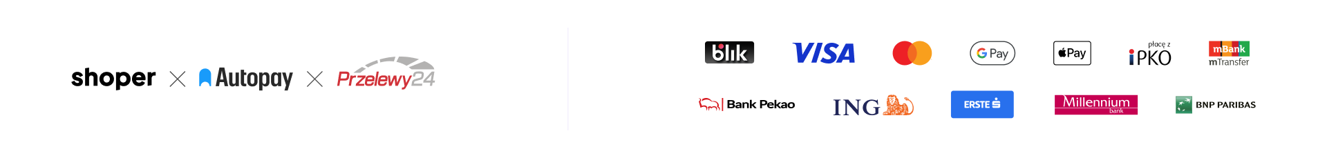 Bezpieczne zakupy: Autopay, Przelewy24, BLIK, Visa, Mastercard, Google Pay, Apple Pay